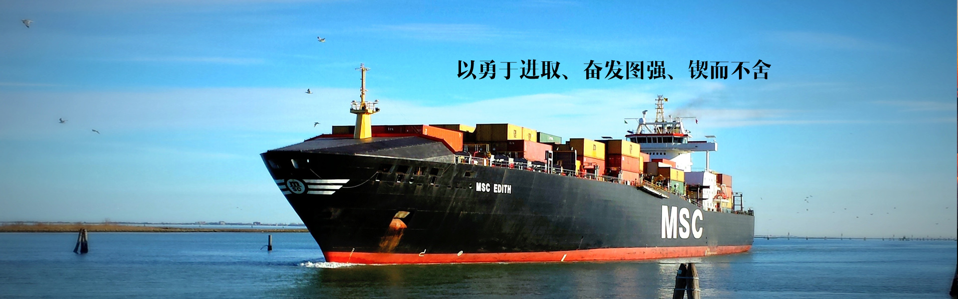 高活性新癸酸苯基汞/26545-49-3,有效縮短熟化時間,大幅提高生產效率